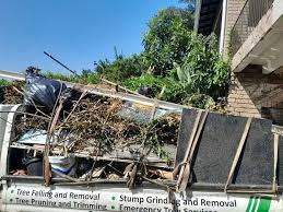 Best Attic Cleanout  in Indian Shores, FL